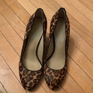 Ann Taylor Leopard Print Wedges